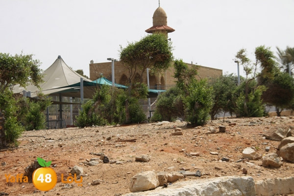 المشهراوي يكشف "دائرة أراضي اسرائيل قررت تخصيص قطعة أرض للمواطنين العرب في حي الجبلية"